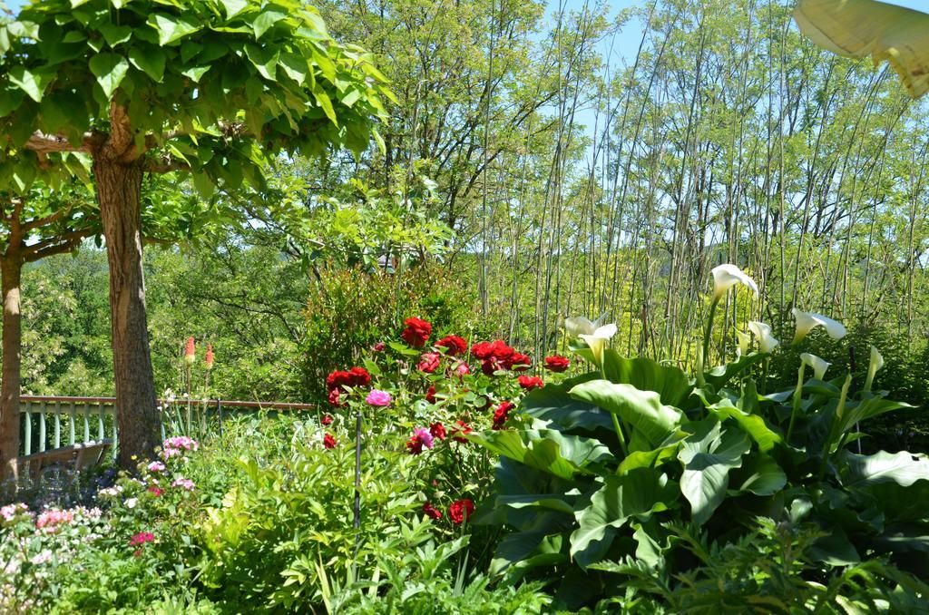 Bed and Breakfast La Gueriniere Cénac-et-Saint-Julien Exterior foto